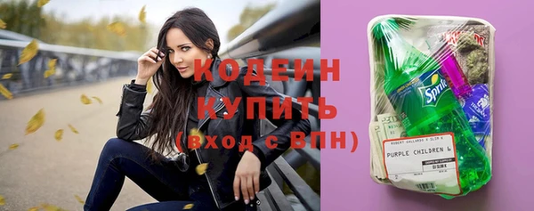 молекула духа Карпинск