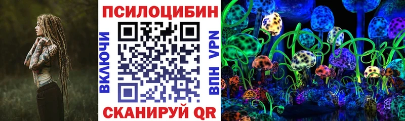 Купить где  Армавир  Псилоцибиновые грибы Psilocybine cubensis 
